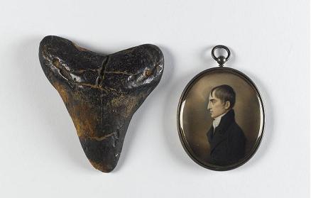 shark_tooth_and_emmet_pendant_sml